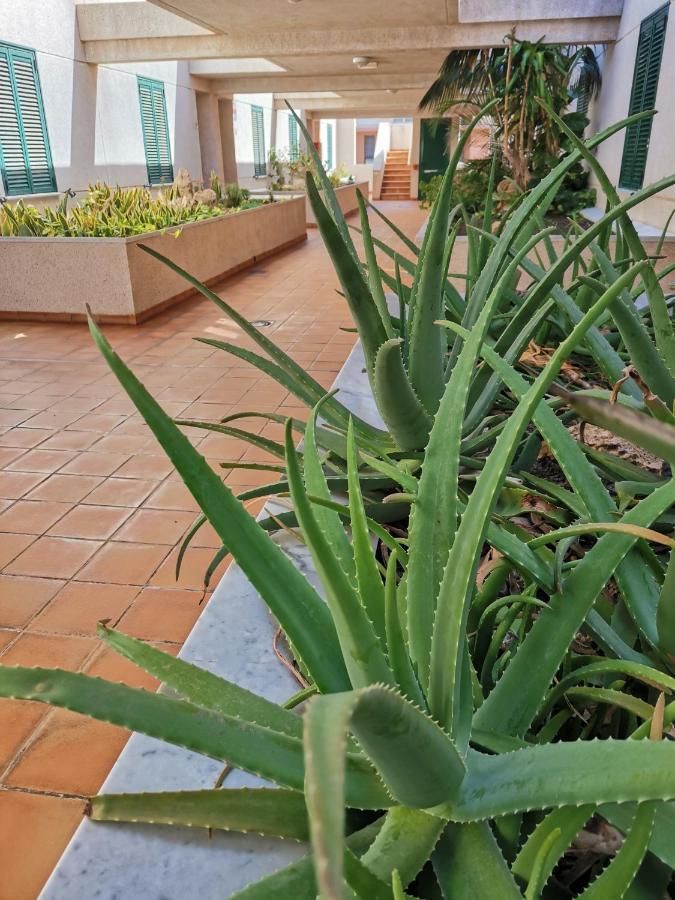 Apartmán Balancon Pool El Médano Exteriér fotografie